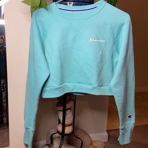 Cropped Champion Hoodie, Size Small